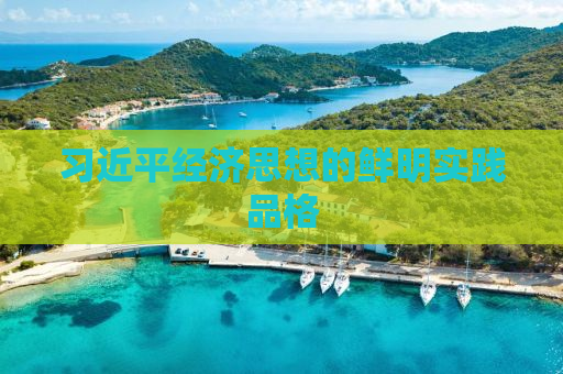习近平经济思想的鲜明实践品格