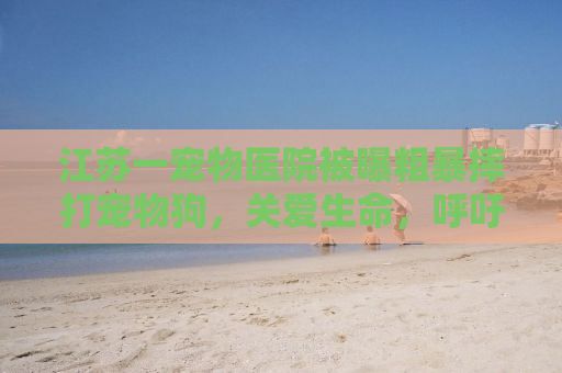 江苏一宠物医院被曝粗暴摔打宠物狗，关爱生命，呼吁规范宠物医疗行业行为