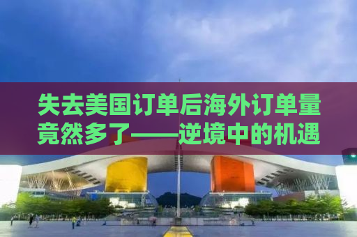 失去美国订单后海外订单量竟然多了——逆境中的机遇与挑战