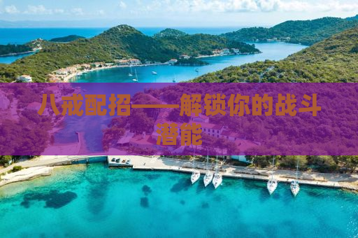 八戒配招——解锁你的战斗潜能