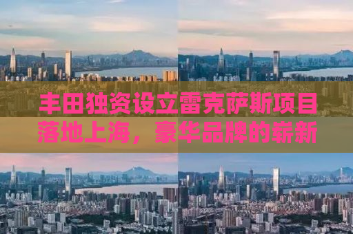 丰田独资设立雷克萨斯项目落地上海，豪华品牌的崭新篇章