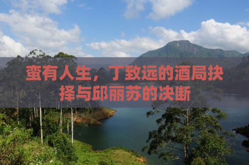 蛮有人生，丁致远的酒局抉择与邱丽苏的决断