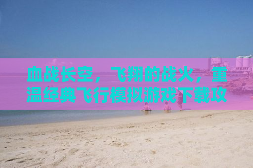 血战长空，飞翔的战火，重温经典飞行模拟游戏下载攻略