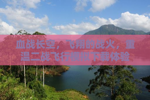 血战长空，飞翔的战火，重温二战飞行模拟下载体验