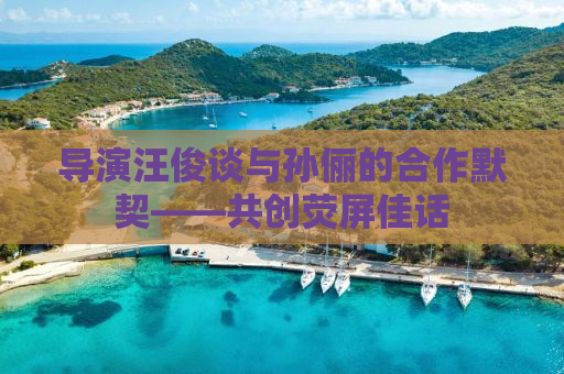导演汪俊谈与孙俪的合作默契——共创荧屏佳话