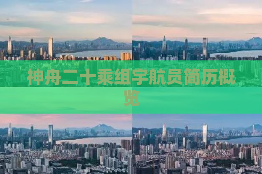 神舟二十乘组宇航员简历概览
