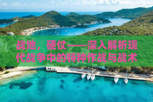 战地，硬仗——深入解析现代战争中的特种作战与战术运用