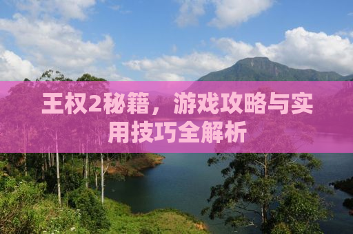 王权2秘籍，游戏攻略与实用技巧全解析