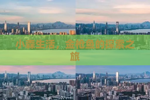 小森生活，金枪鱼的探索之旅
