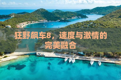 狂野飙车8，速度与激情的完美融合