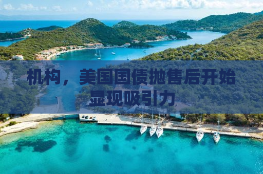 机构，美国国债抛售后开始显现吸引力
