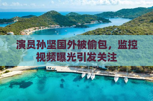演员孙坚国外被偷包，监控视频曝光引发关注