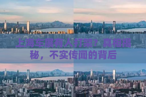 上海车展有人打架？真相揭秘，不实传闻的背后