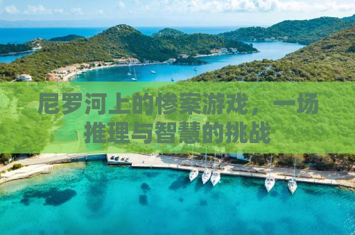 尼罗河上的惨案游戏，一场推理与智慧的挑战
