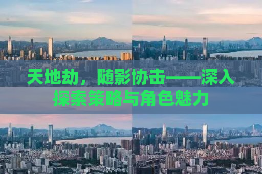 天地劫，随影协击——深入探索策略与角色魅力