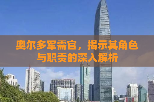 奥尔多军需官，揭示其角色与职责的深入解析