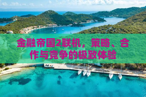 金融帝国2联机，策略、合作与竞争的极致体验