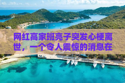 网红高家班亮子突发心梗离世，一个令人震惊的消息在社交媒体上引起了广泛的关注和讨论。作为一个自媒体作者，我想借此机会深入探讨这个事件，向逝者表达我的哀思，同时也提醒广大网友关注健康问题，珍惜生命。