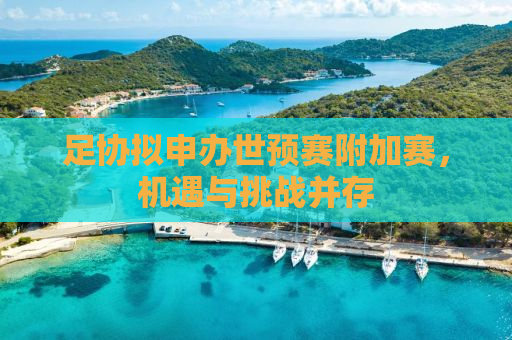 足协拟申办世预赛附加赛，机遇与挑战并存