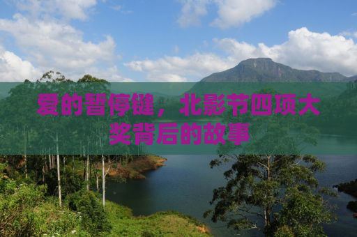 爱的暂停键，北影节四项大奖背后的故事