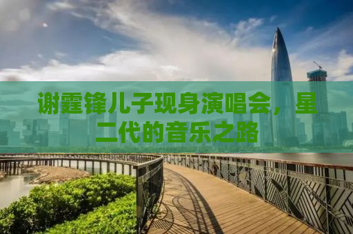 谢霆锋儿子现身演唱会，星二代的音乐之路