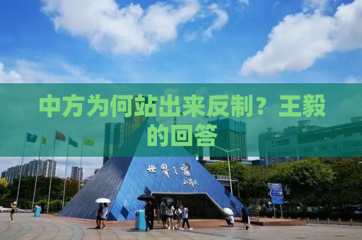 中方为何站出来反制？王毅的回答