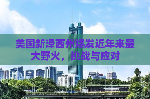 美国新泽西州爆发近年来最大野火，挑战与应对
