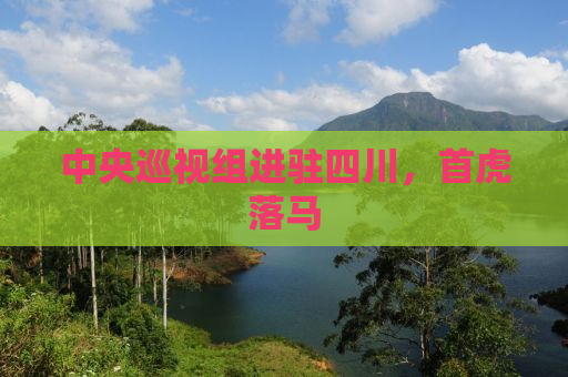 中央巡视组进驻四川，首虎落马