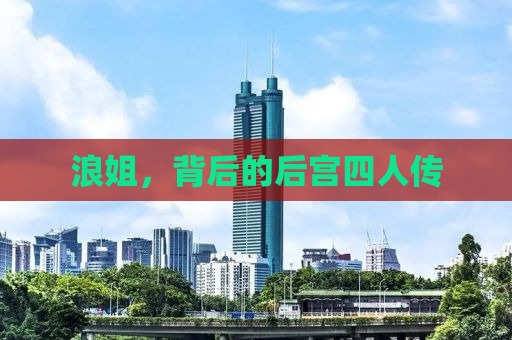 浪姐，背后的后宫四人传