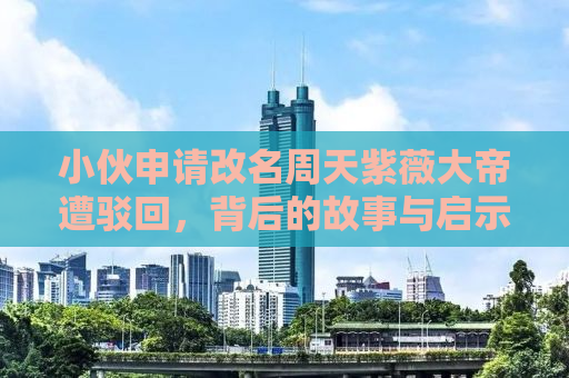 小伙申请改名周天紫薇大帝遭驳回，背后的故事与启示