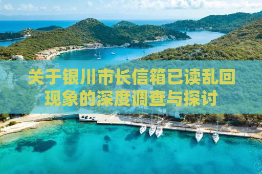 关于银川市长信箱已读乱回现象的深度调查与探讨