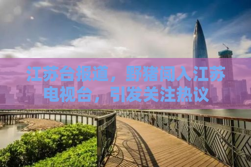 江苏台报道，野猪闯入江苏电视台，引发关注热议