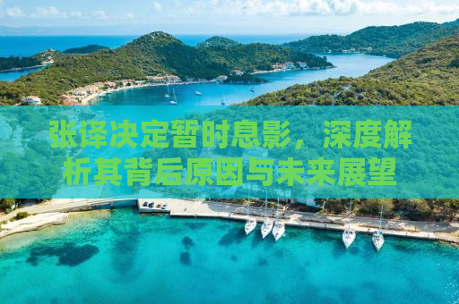张译决定暂时息影，深度解析其背后原因与未来展望