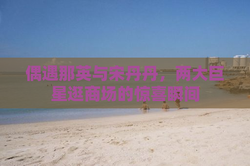 偶遇那英与宋丹丹，两大巨星逛商场的惊喜瞬间