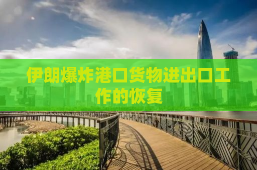 伊朗爆炸港口货物进出口工作的恢复