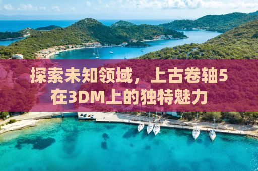探索未知领域，上古卷轴5在3DM上的独特魅力
