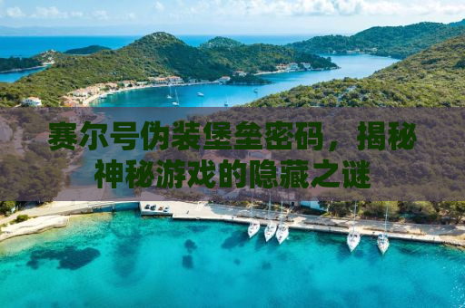 赛尔号伪装堡垒密码，揭秘神秘游戏的隐藏之谜
