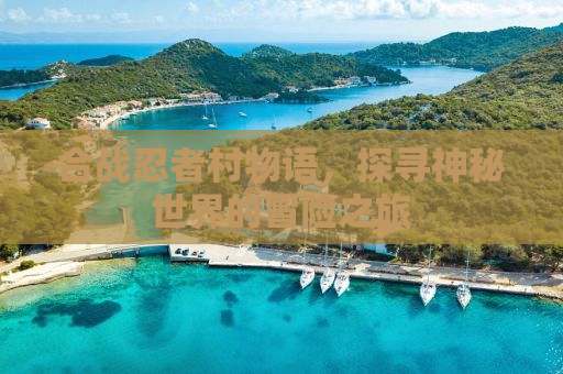 合战忍者村物语，探寻神秘世界的冒险之旅