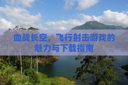 血战长空，飞行射击游戏的魅力与下载指南