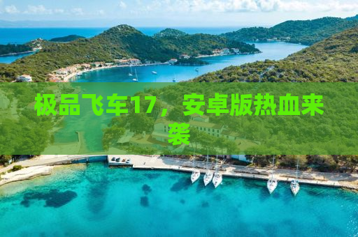 极品飞车17，安卓版热血来袭