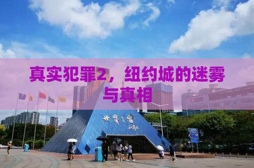 真实犯罪2，纽约城的迷雾与真相