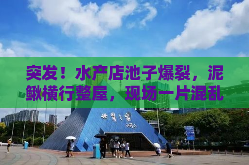 突发！水产店池子爆裂，泥鳅横行整屋，现场一片混乱！