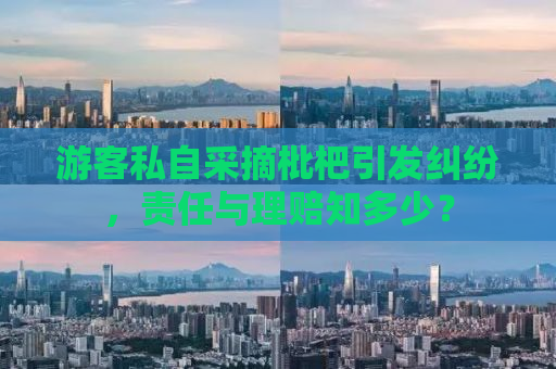 游客私自采摘枇杷引发纠纷，责任与理赔知多少？