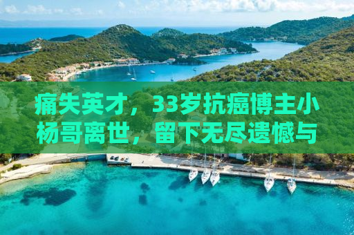 痛失英才，33岁抗癌博主小杨哥离世，留下无尽遗憾与启示
