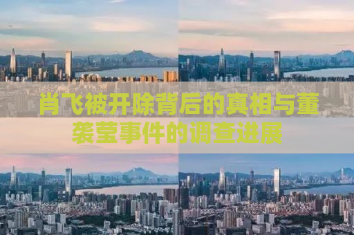 肖飞被开除背后的真相与董袭莹事件的调查进展