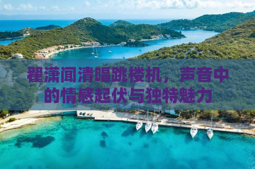 翟潇闻清唱跳楼机，声音中的情感起伏与独特魅力