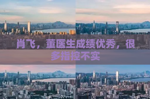 肖飞，董医生成绩优秀，很多指控不实