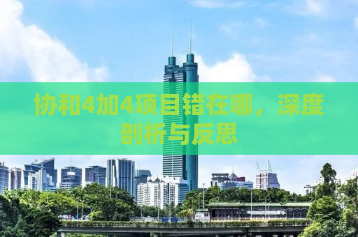 协和4加4项目错在哪，深度剖析与反思