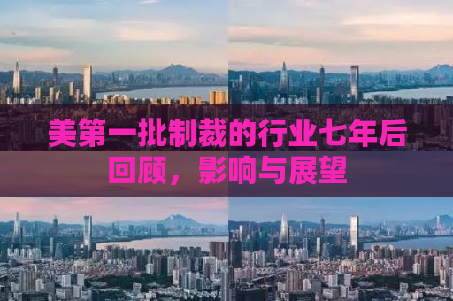 美第一批制裁的行业七年后回顾，影响与展望