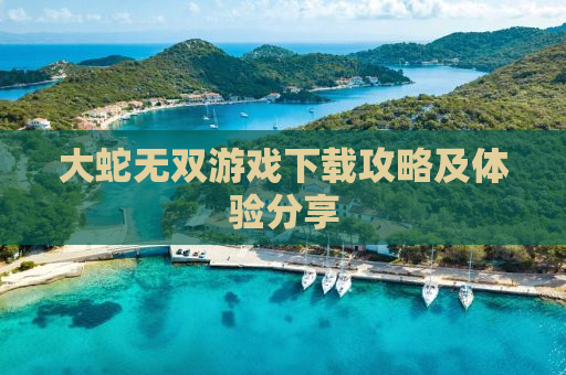 大蛇无双游戏下载攻略及体验分享